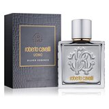 Roberto Cavalli Uomo Silver Essence Eau de Toilette