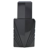 Elizabeth Taylor Passion For Men Eau de Cologne