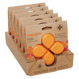 GYÖKÉRGYERTYÁK Keresek egyensúlyt viasz ENERGIZE / ENERGIA SZÁLLÍTÁSA