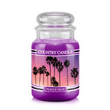 Country Candle Purple Palm nagyméretű 2 kanócos illatgyertya (652 g)