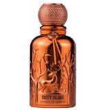 Auraa Desire Rusty Island Eau de Parfum 100ml