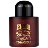 Emir Vibrant Spicy Tobacco Eau de Parfum 100ml
