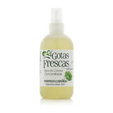 Instituto Español Gotas Frescas Eau de Cologne 250 ml