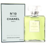Chanel No 19 Poudre Eau de Parfum 100ml