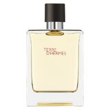 Hermes Terre D'Hermes Eau de Toilette 100ml