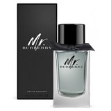 Burberry Mr. Burberry Eau de Toilette, 100ml