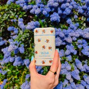 Wild Honey & Cactus Flower Bee Case Deostick