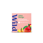 Wild Juicy Mango Deostick, 40 g