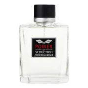 Antonio Banderas Power Of Seduction Eau de Toilette