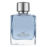 Hollister Wave For Him Eau de Toilette