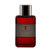 Antonio Banderas The Secret Temptation Eau de Toilette - Teszter
