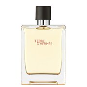 Hermes Terre D'Hermes Eau de Toilette - Teszter