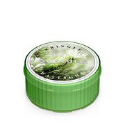 Kringle Candle Balsam Fenyő illatgyertya (35 g)