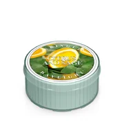 Kringle Candle CITRUS ÉS ZSÁLYA illatgyertya (35 g)