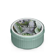Kringle Candle Eucalyptus Mint illatgyertya (35 g)
