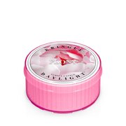 Kringle Candle Bazsarózsa illatú gyertya (35 g)
