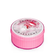 Kringle Candle Bazsarózsa illatú gyertya (35 g)