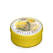 Kringle Candle Rosemary Citrom illatú gyertya (35 g)