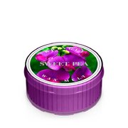 Kringle Candle Sweet Pea illatgyertya (35 g)