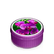 Kringle Candle Sweet Pea illatgyertya (35 g)