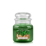 Country Candle Balsam & Cedar közepes 2 kanócos illatgyertya (453 g)