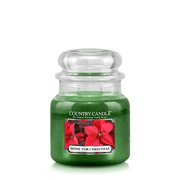 Country Candle Home for Christmas illatgyertya közepes 2 kanócos (453 g)