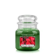Country Candle Home for Christmas illatgyertya közepes 2 kanócos (453 g)