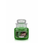 Country Candle Balsam Fenyő illatú gyertya mini 1 kanóc (104 g)