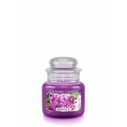 Country Candle Fresh Lilac illatgyertya mini 1 kanóc (104 g)