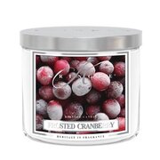 Kringle Candle TUMBLER Frosted Cranberry illatú gyertya közepes, 2 kanócos (411 g)