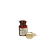 Paddywax Apothecary SEA SALT & SAGE illatosított gyertya (8oz / 226g)