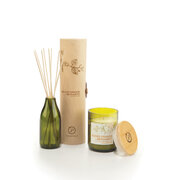 Paddywax Eco Green BLOOD ORANGE & BERGAMOT diffúzor (4 uncia / 118 ml)