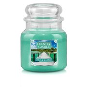 Country Candle Citrus & Seagrass közepes 2 kanócos illatgyertya (453 g)