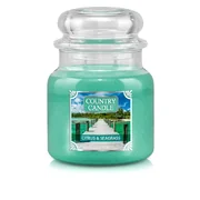 Country Candle Citrus & Seagrass közepes 2 kanócos illatgyertya (453 g)