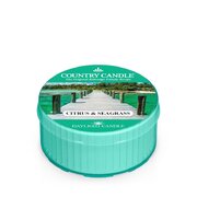 Country Candle Citrus és Seagrass illatú gyertya (35 g)