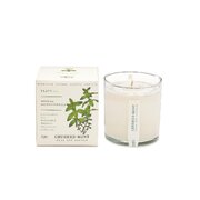 KOBO Plant the Box Crushed Mint illatgyertya (10oz / 283g)