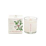 KOBO Plant the Box Wild Tomato Vine illatgyertya (10oz / 283g)