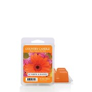 Country Candle Sunshine & Daisies illatviasz (64 g)