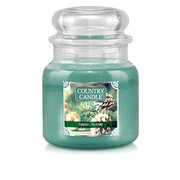 Country Candle Tinsel & Thyme közepes 2 kanócos illatgyertya (453 g)