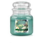 Country Candle Tinsel & Thyme közepes 2 kanócos illatgyertya (453 g)