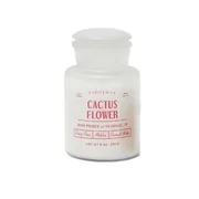 Paddywax FARMHOUSE Cactus Flower illatgyertya (8oz /226g)