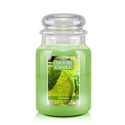 Country Candle Sparkling nagy 2 kanócos illatgyertya (652 g)