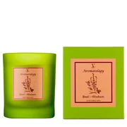 Vila Hermanos Aromathologie Bazsalikom illatgyertya 200g