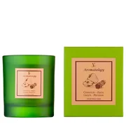 Vila Hermanos Aromathologie Fahéj alma illatgyertya 200g