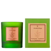 Vila Hermanos Aromathologie Eukaliptusz illatú gyertya 200g