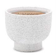 Paddywax ciprus és fenyő illatú gyertya kerámia tégelyben (396 g)
