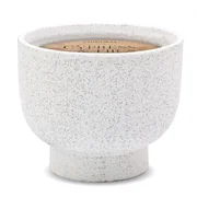 Paddywax ciprus és fenyő illatú gyertya kerámia tégelyben (396 g)
