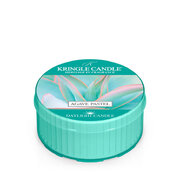 Kringle Candle Agave Pasztell illatú gyertya (42 g)