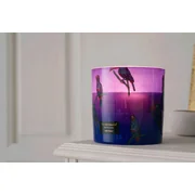 Vila Hermanos Jungletopia Toucan Rainforest illatgyertya 200g