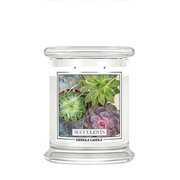 Kringle Candle Succulents illatgyertya közepes 2 kanócos (411 g)